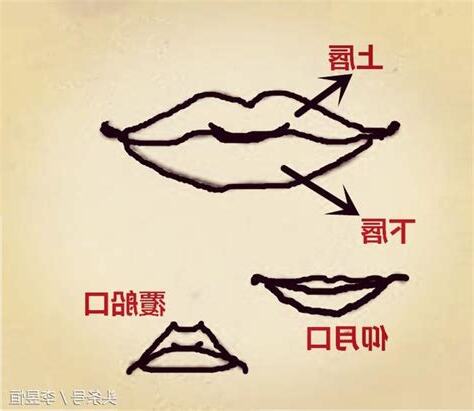 面相 唇